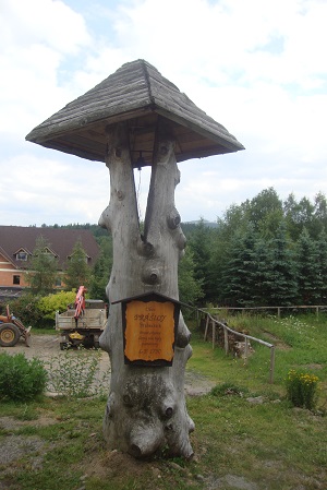 DSC01021
