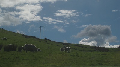 IMG 9934