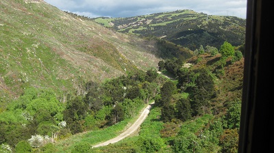 IMG 9941