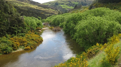 IMG 9964
