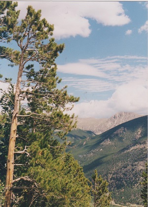Rocky 002