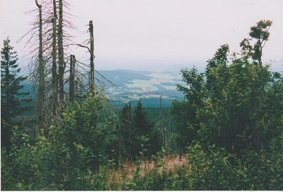LUS 001