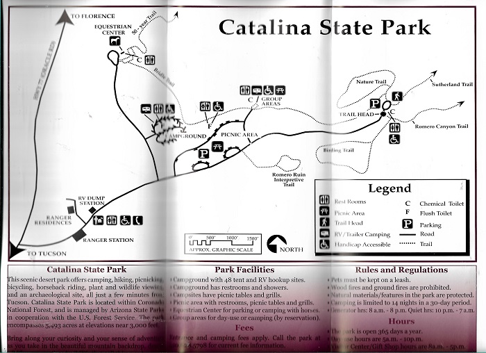 catalina 002