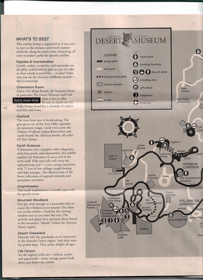 desert 003