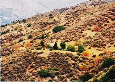 ariz 008