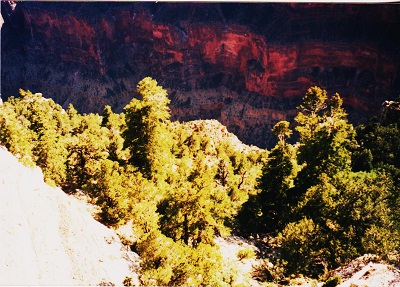 ariz 013