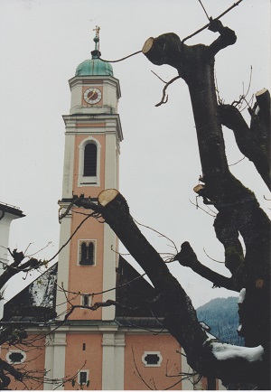 bertechsgaden 001