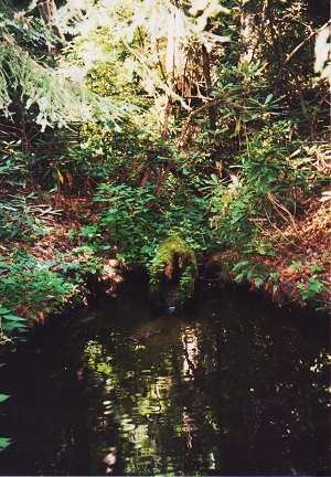 cero 016