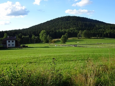 DSC03139