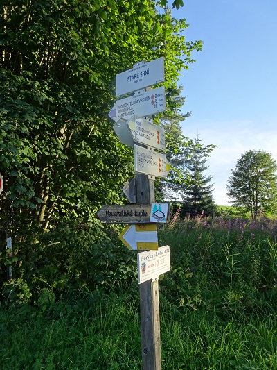 DSC03145