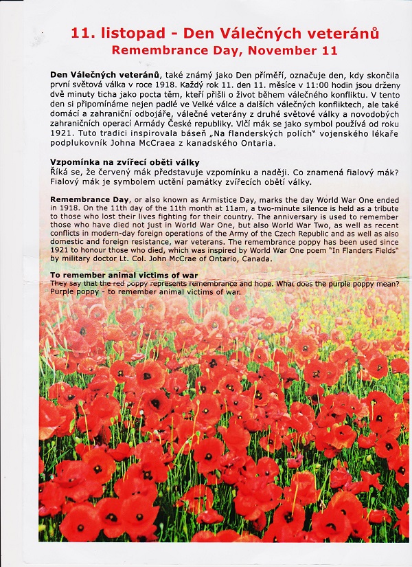 vet 001