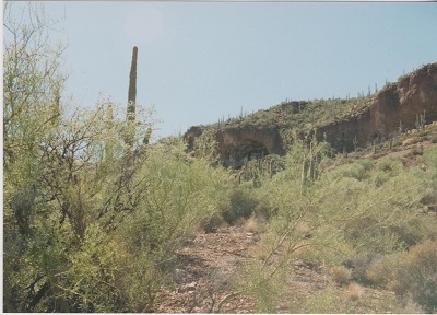 Arizona 1 004
