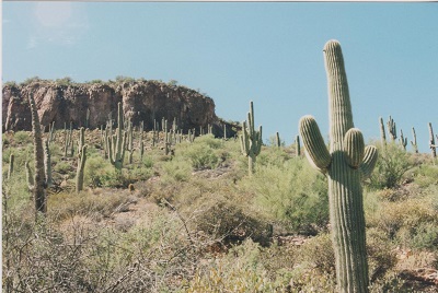 Arizona 1 005