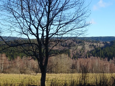 DSC00568