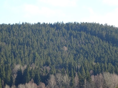 DSC00571