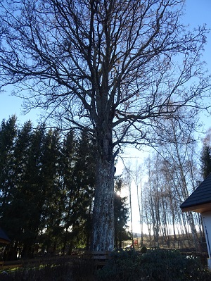 DSC00578