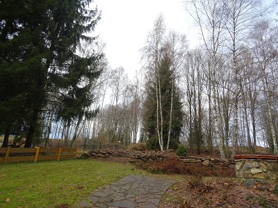 DSC00609