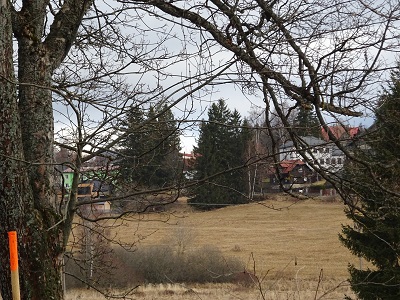 DSC00615