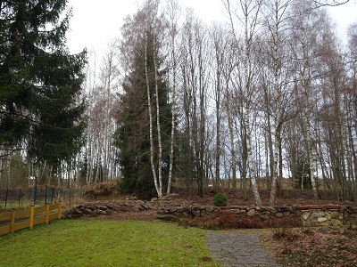 DSC00620