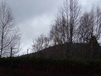 DSC00654