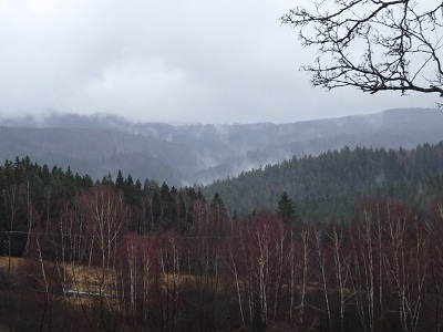 DSC00655