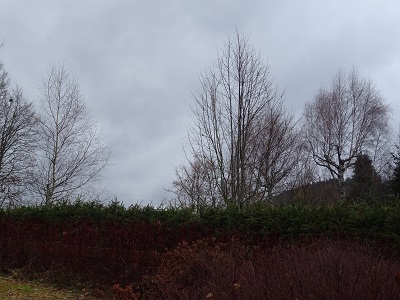 DSC00665