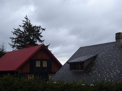 DSC00667
