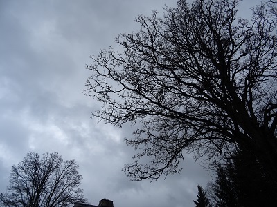 DSC00668