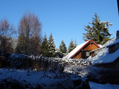 DSC00725