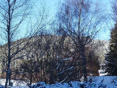 DSC00736