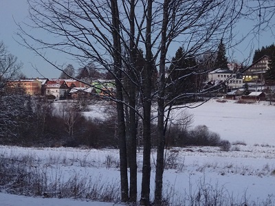 DSC00743