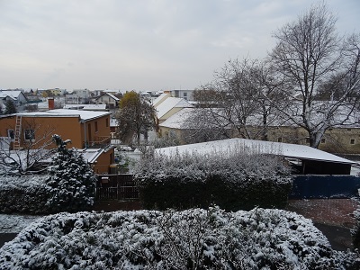 DSC00894