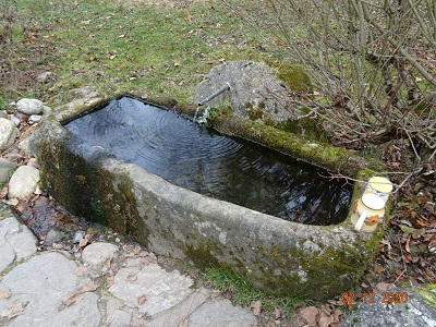 DSC00952