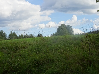 DSC03110