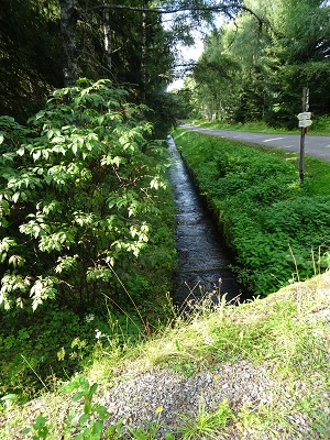 DSC03119