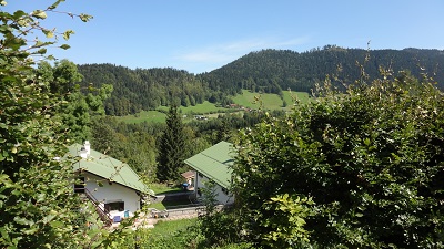 DSC03517