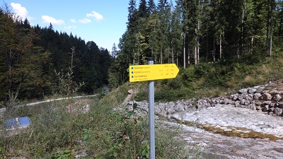 DSC03521