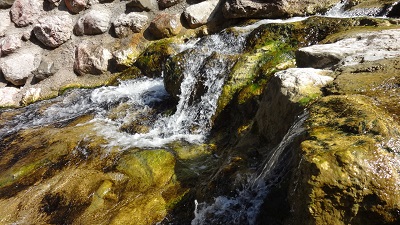 DSC03523