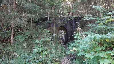 DSC03537