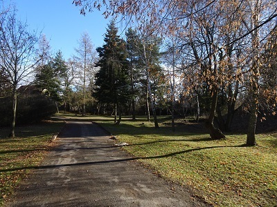 DSC04770