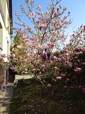 DSC05778