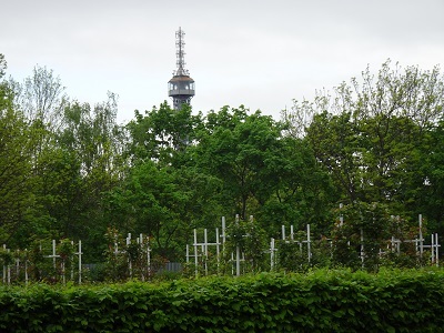 DSC06079