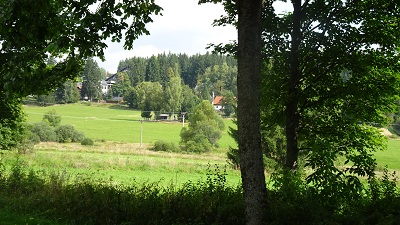 DSC08721