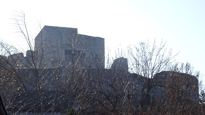 DSC09159