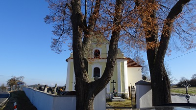 DSC09175