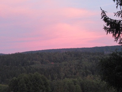 IMG 0842