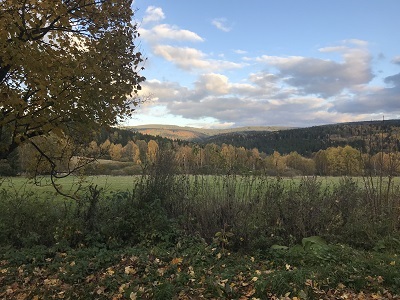 IMG 3042 1