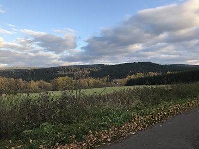 IMG 3043