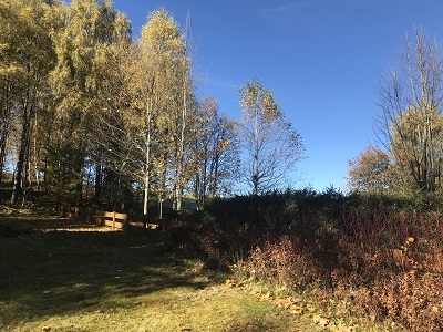 IMG 3057
