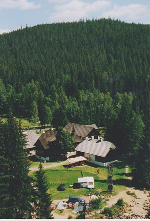 antygl 001